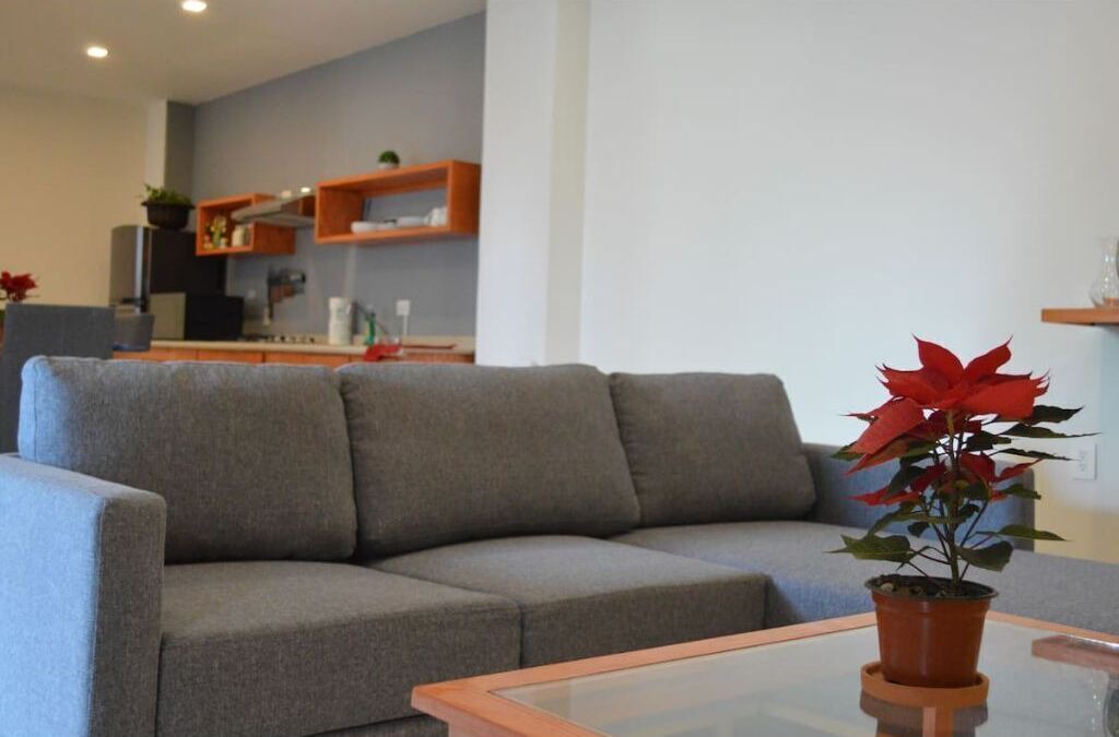Photo of Livingroom in Fresnillo