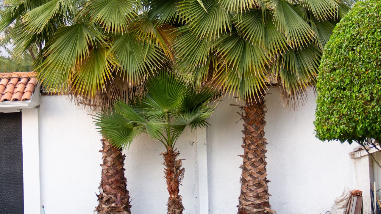 Photo of Outdoor in Lomas de Trujillo