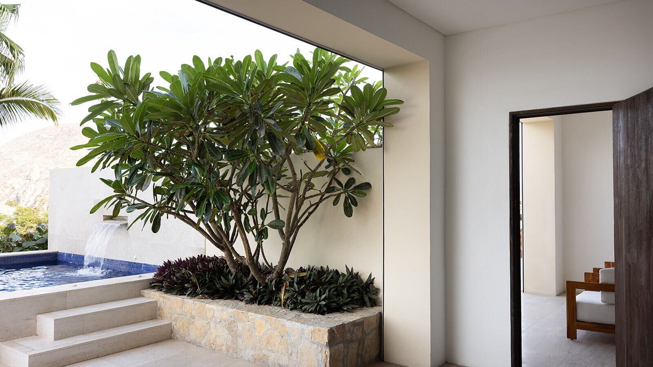 Photo of Outdoor in El Medano Ejidal