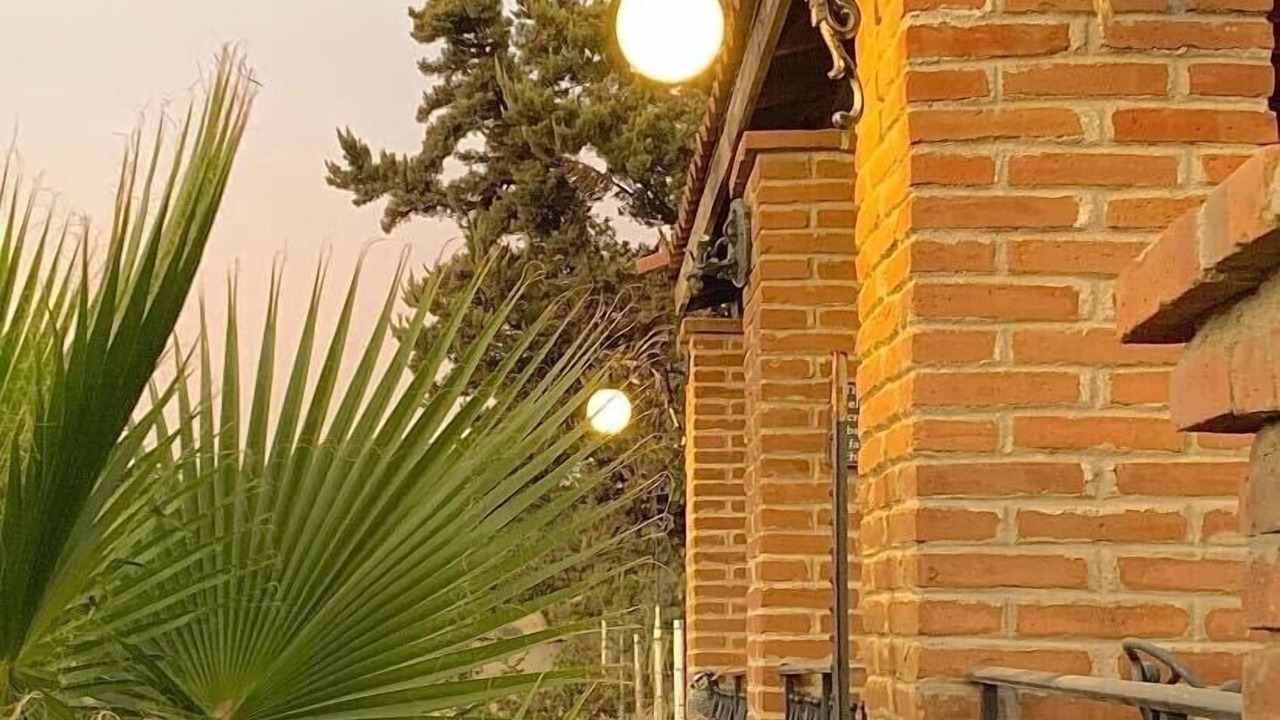 Photo of Outdoor in Tecate Municipality
