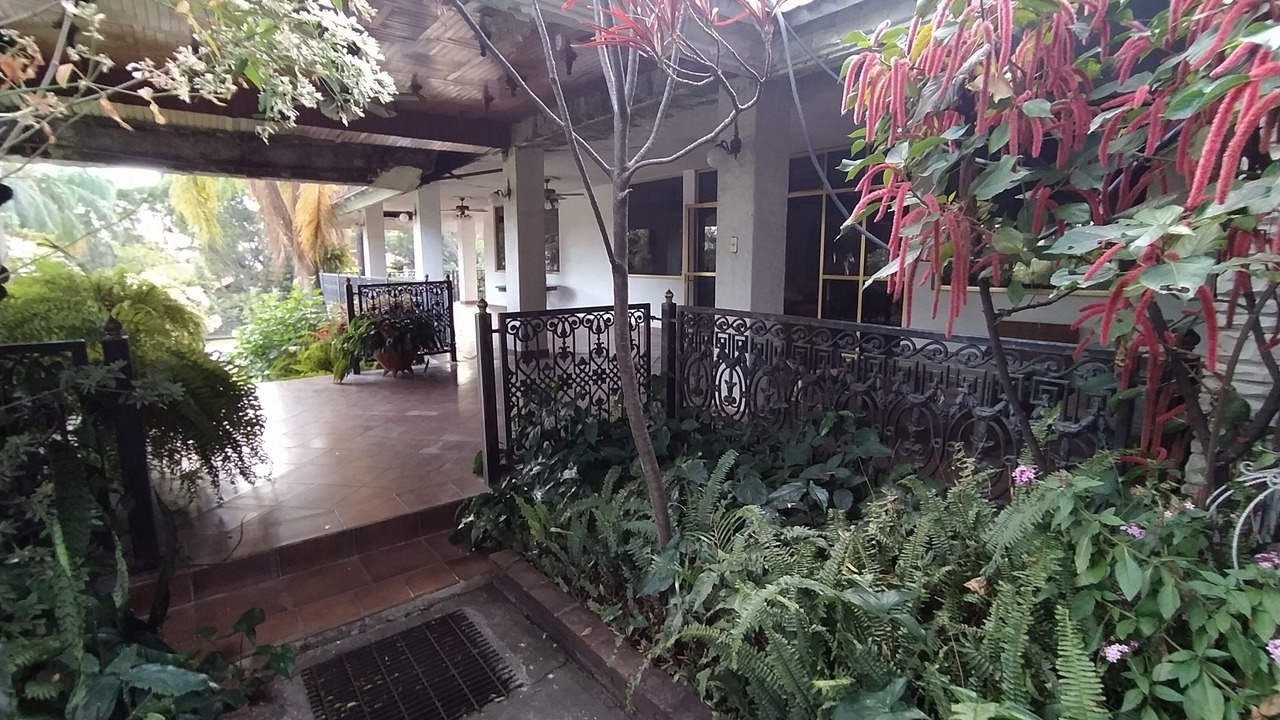 Photo of Outdoor in Cuernavaca
