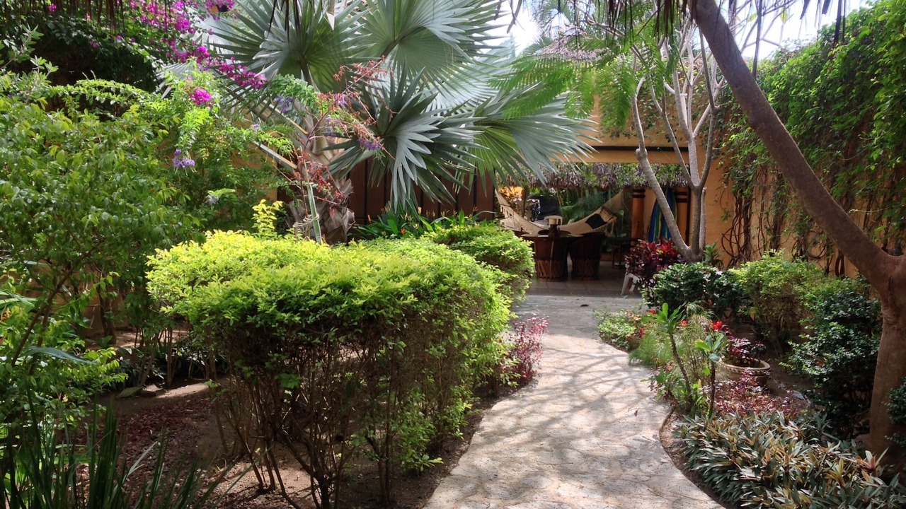 Photo of Outdoor in Barra de Navidad