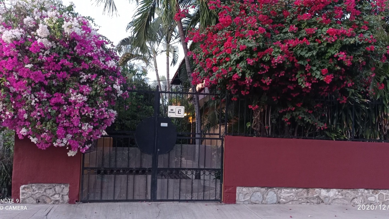 Photo of Others in Barra de Navidad