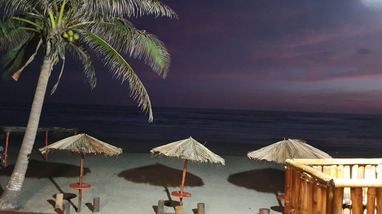Photo of Outdoor in Playa Azul
