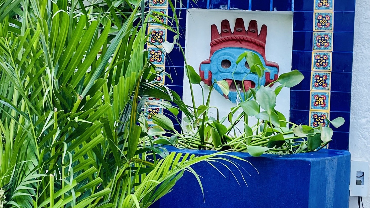 Photo of Outdoor in Barra de Navidad