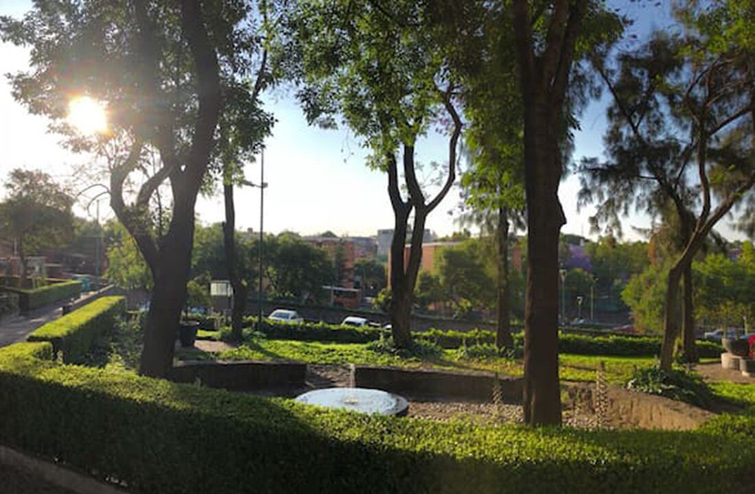 Photo of Outdoor in Alvaro Obregon