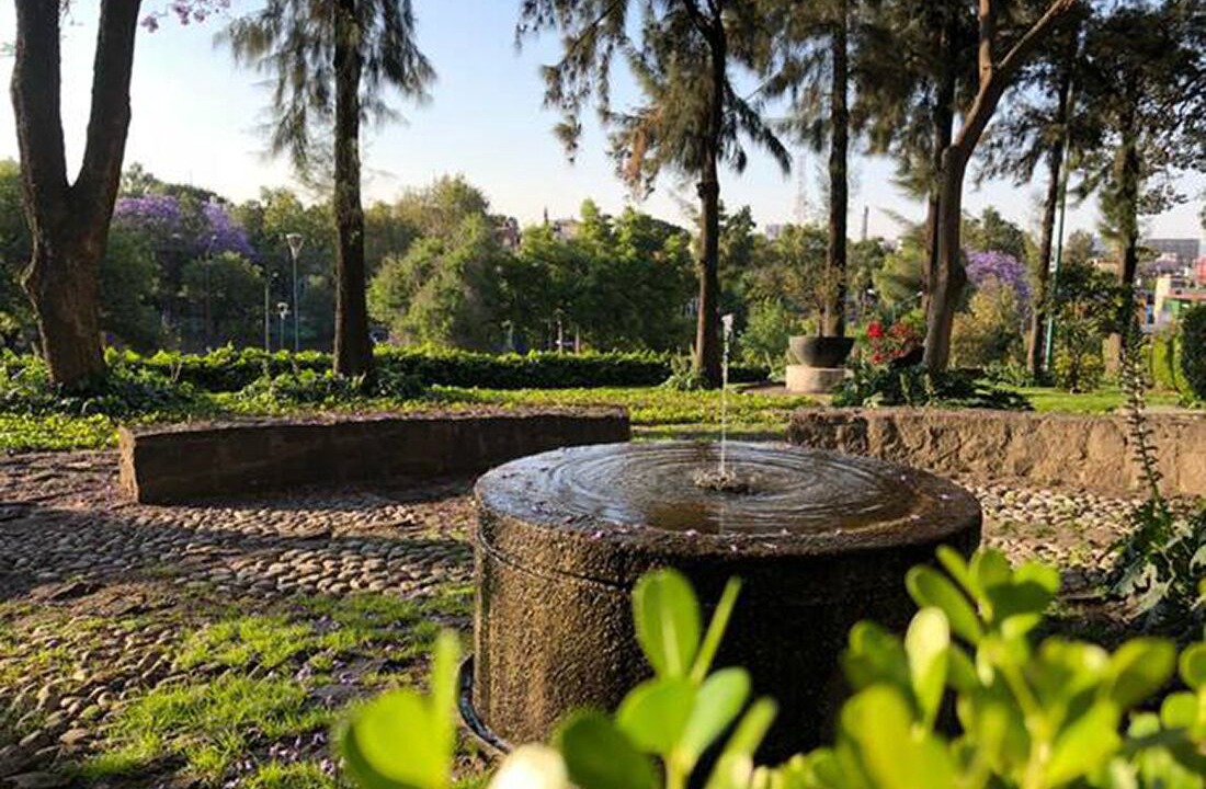 Photo of Outdoor in Alvaro Obregon