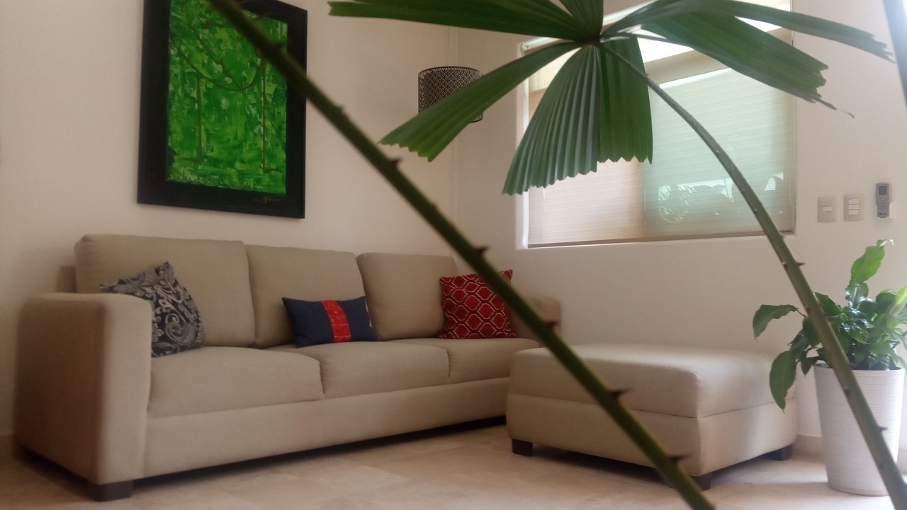 Photo of Livingroom in Colonia 5 de Diciembre