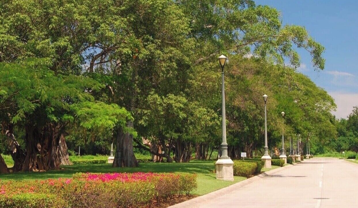Photo of Outdoor in Fluvial Vallarta