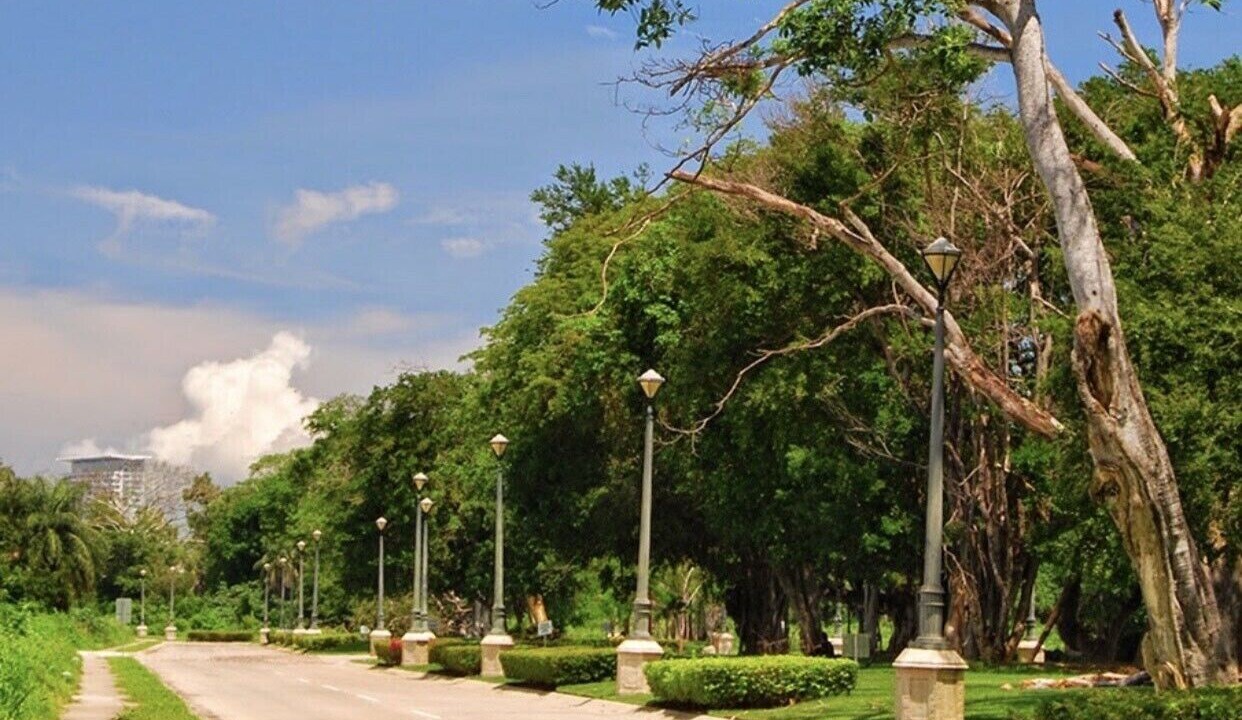 Photo of Outdoor in Fluvial Vallarta