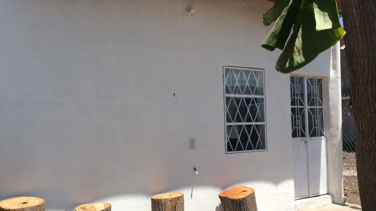 Photo of Outdoor in Santa Cruz