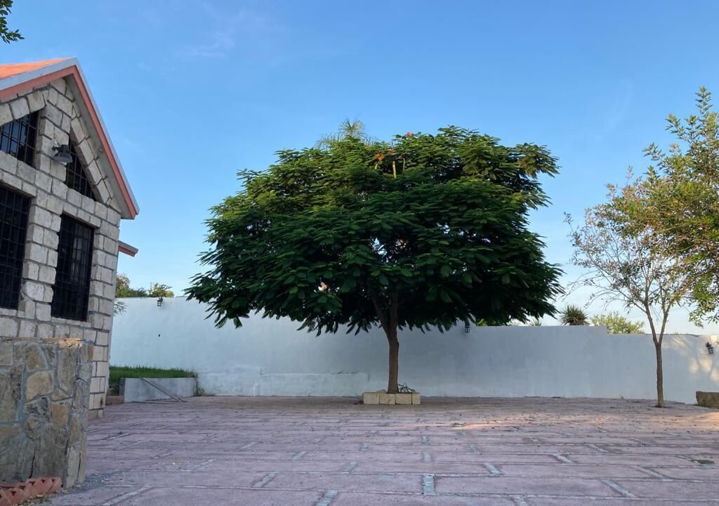 Photo of Outdoor in Nuevo Leon