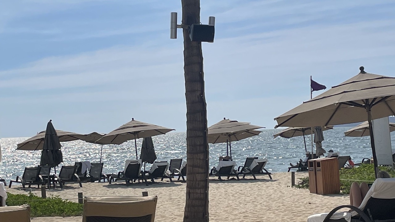 Photo of Others in Nuevo Vallarta