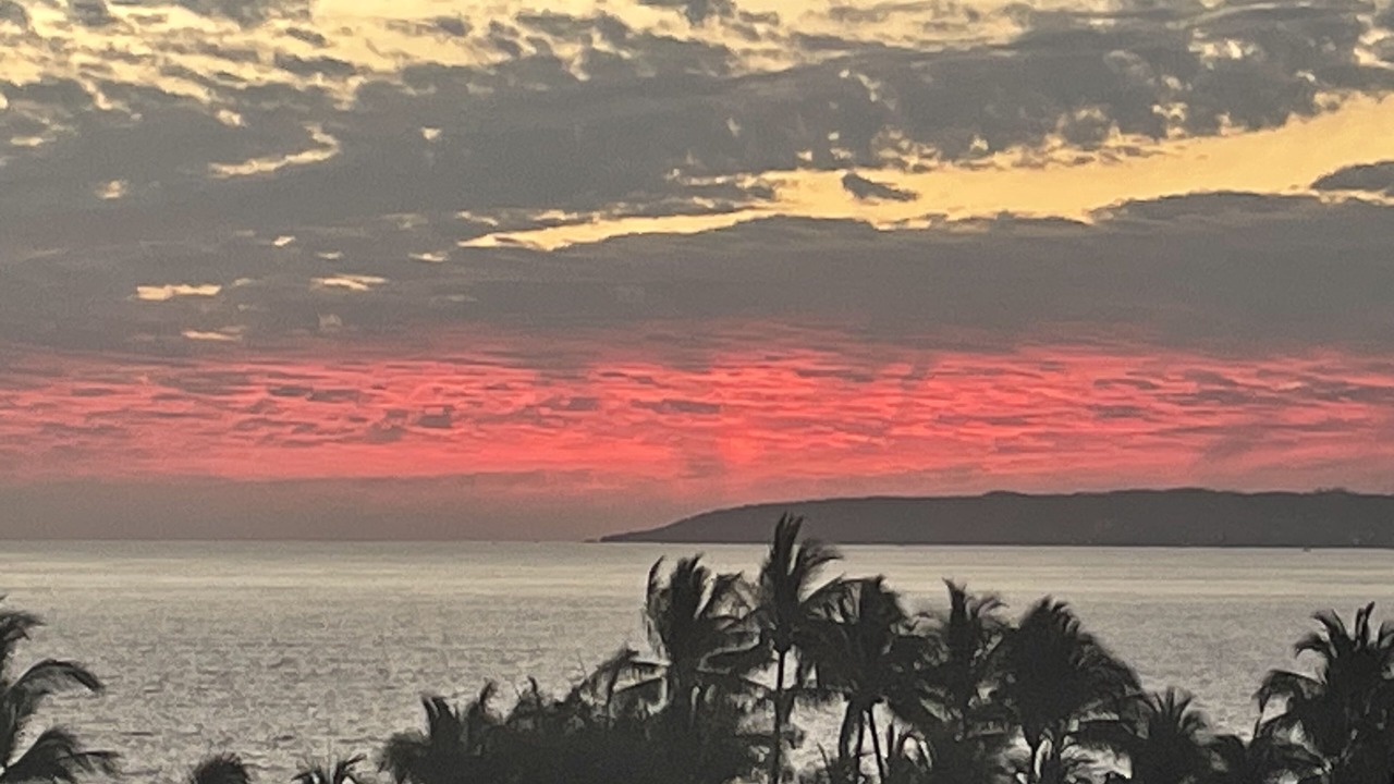 Photo of Others in Nuevo Vallarta