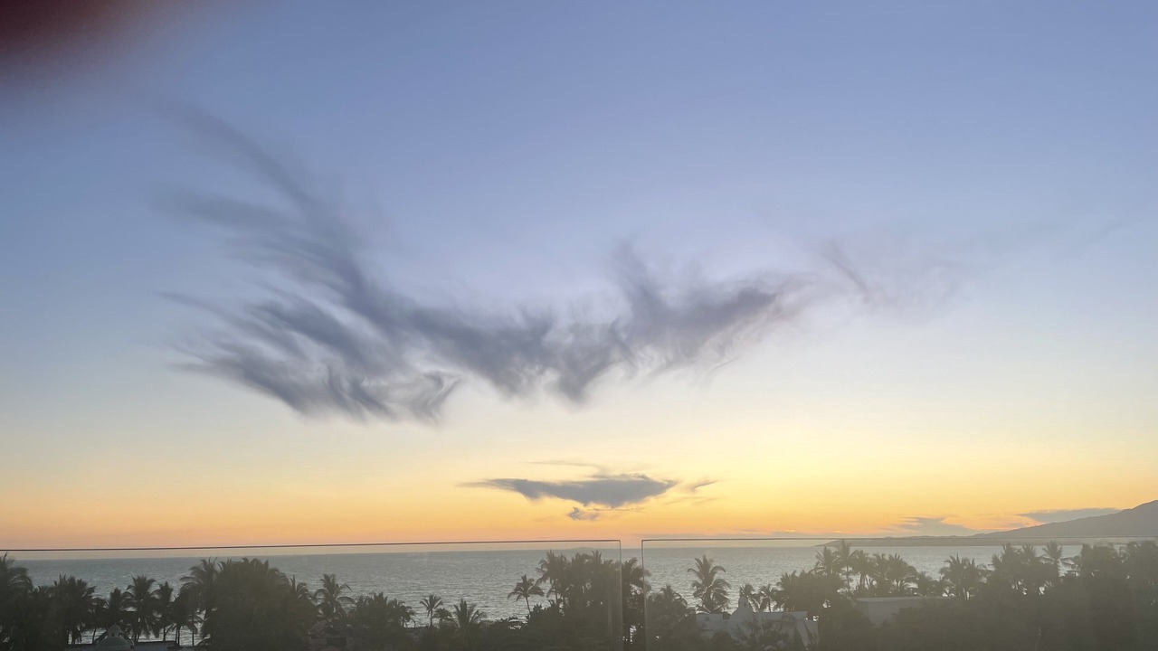 Photo of Others in Nuevo Vallarta