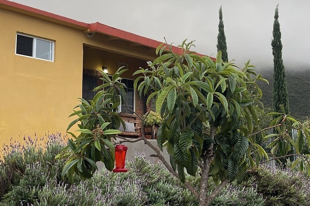 Photo of Outdoor in San Antonio de las Minas