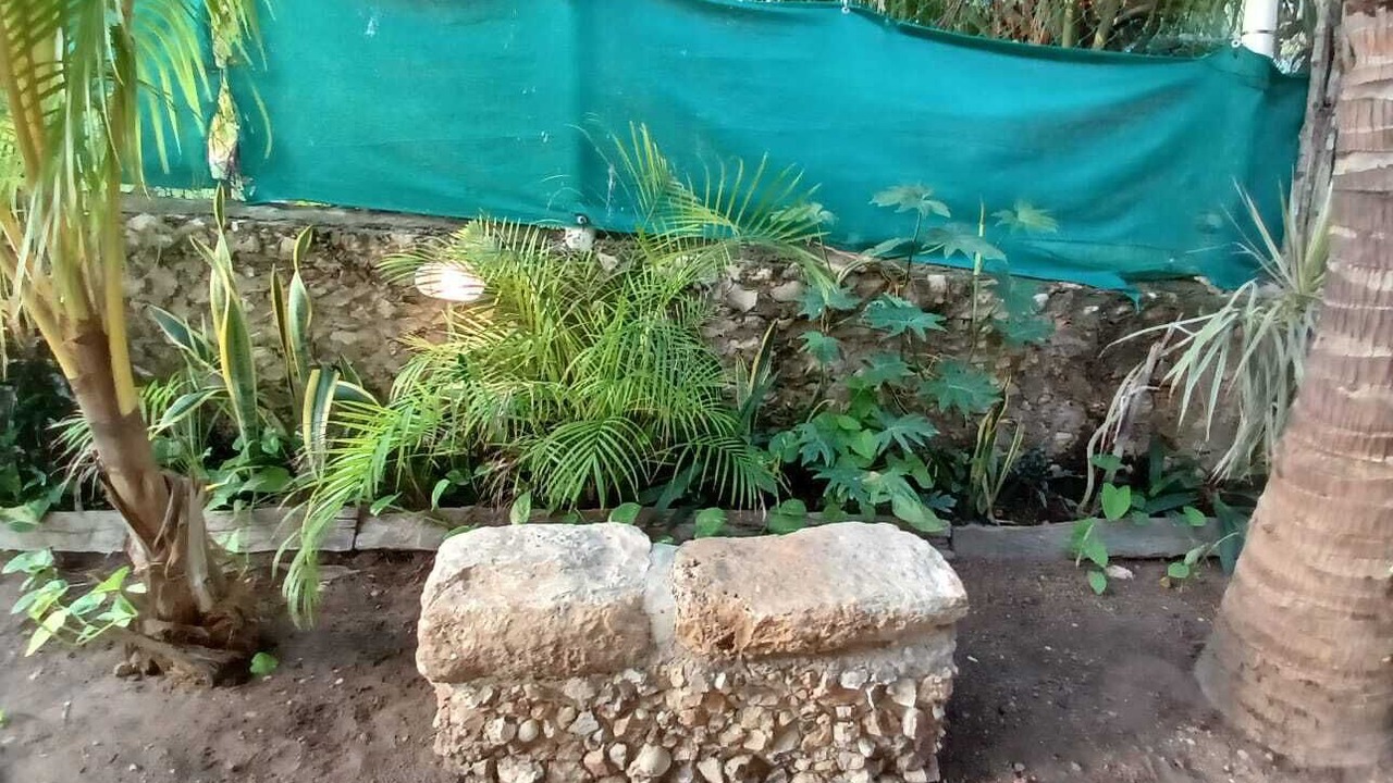 Photo of Outdoor in El Cuyo