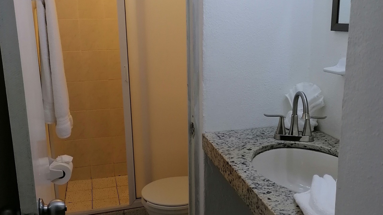 Photo of Bathroom in Fluvial Vallarta