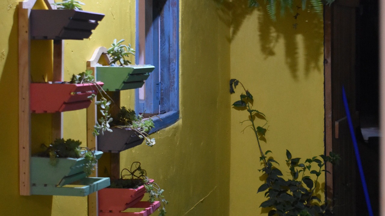 Photo of Outdoor in De Guadalupe