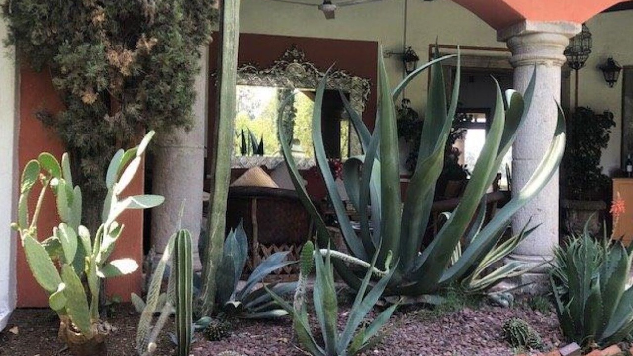 Photo of Outdoor in Tecamac