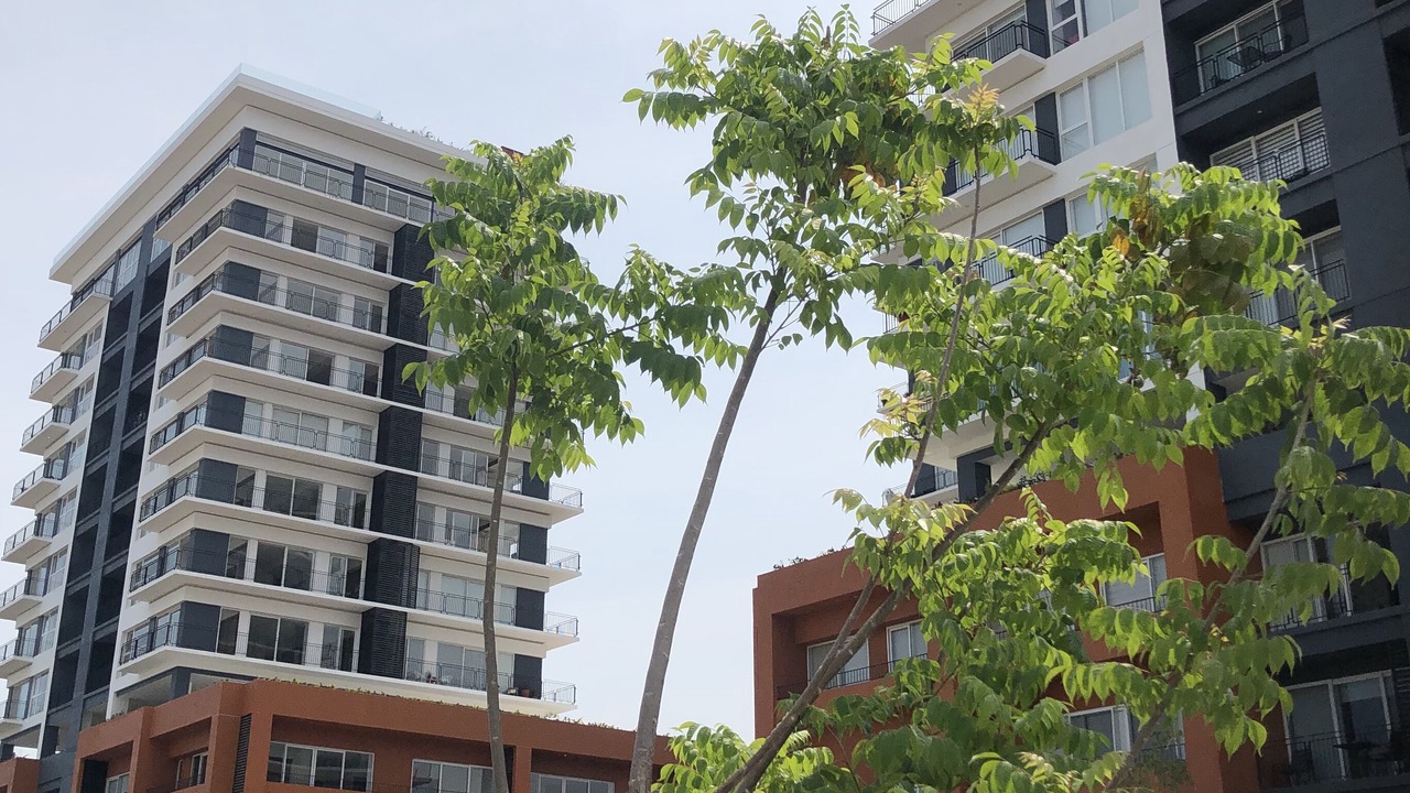 Photo of Outdoor in Palmar de Aramara