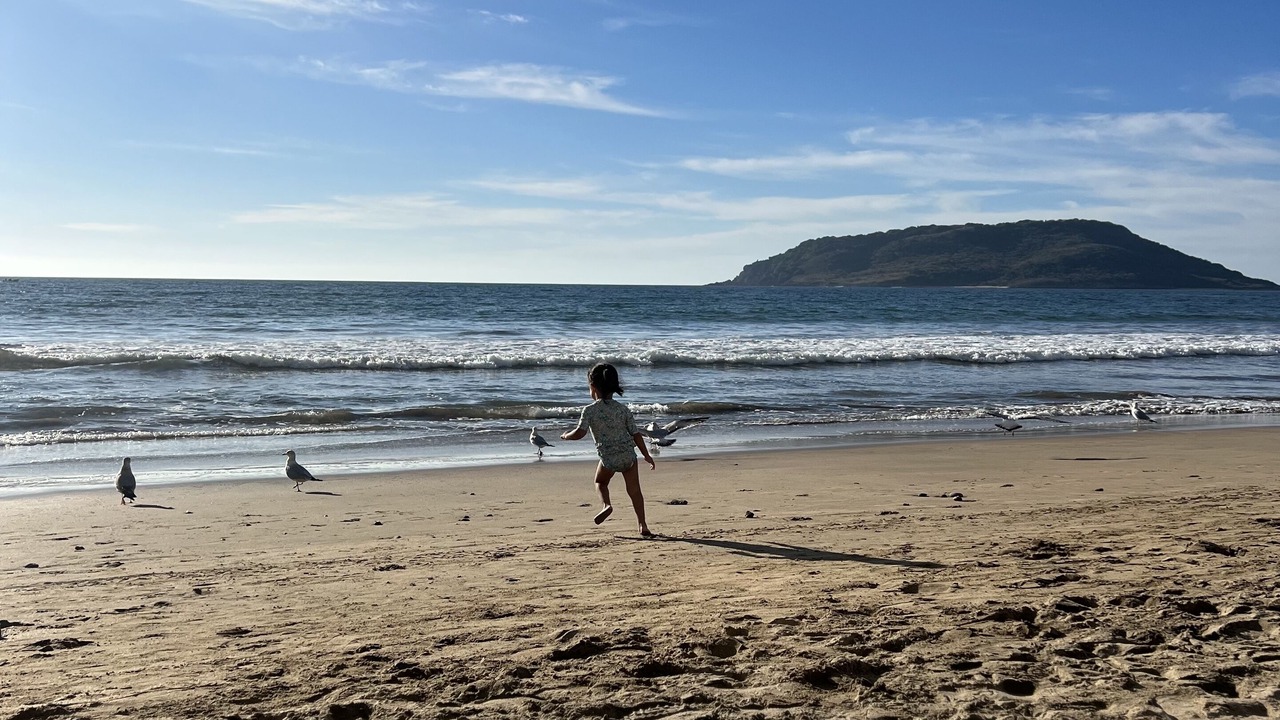 Photo of Others in Zona Dorada
