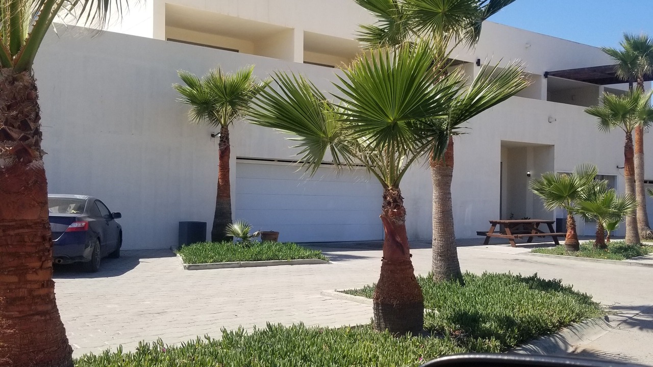 Photo of Outdoor in La Salina
