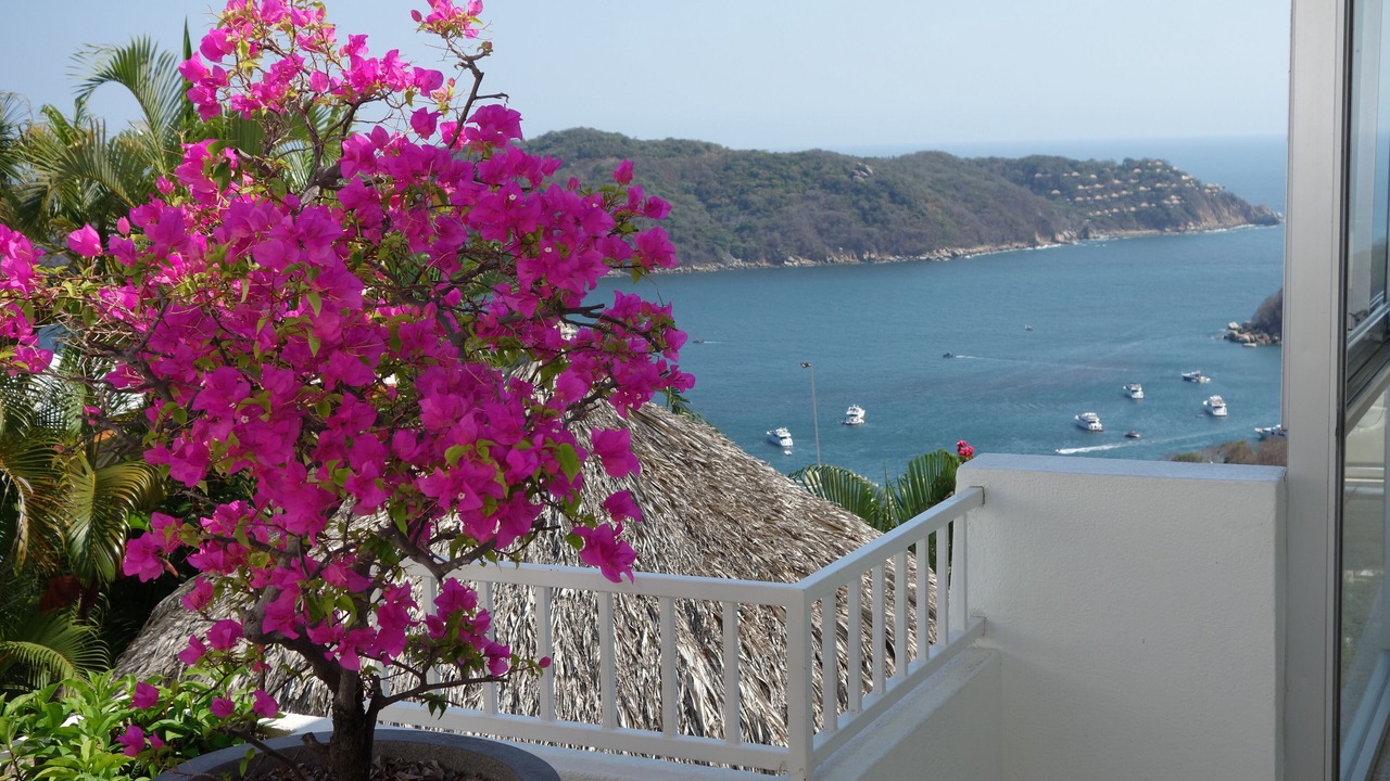 Photo of Outdoor in Pichilingue
