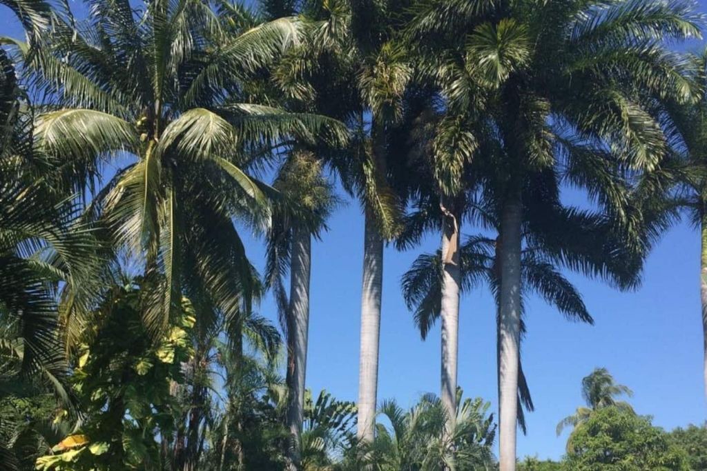 Photo of Outdoor in Playa Diamante
