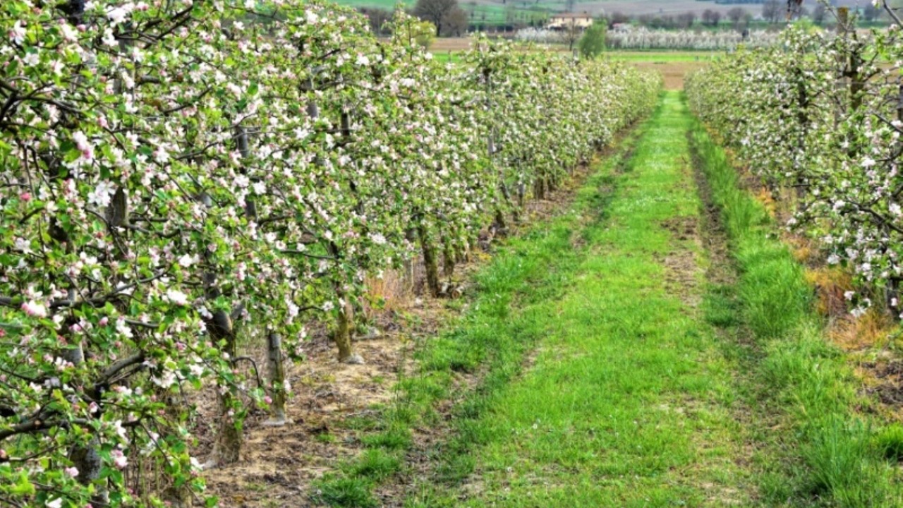 Photo of Outdoor in Cortona