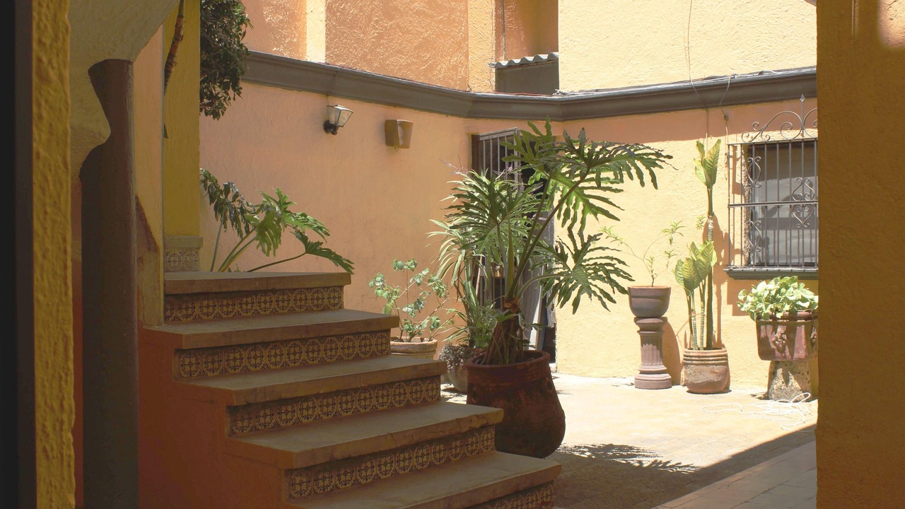 Photo of Others in Zapopan