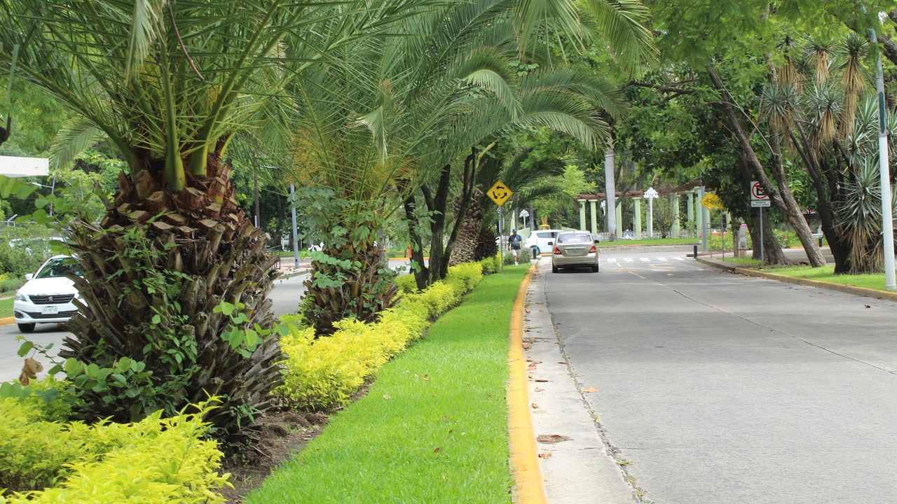 Photo of Outdoor in Zapopan