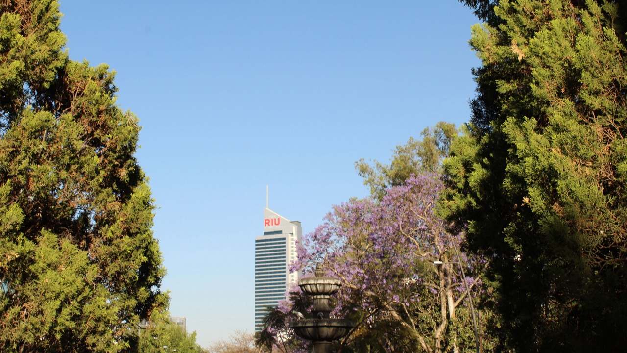 Photo of Outdoor in Zapopan
