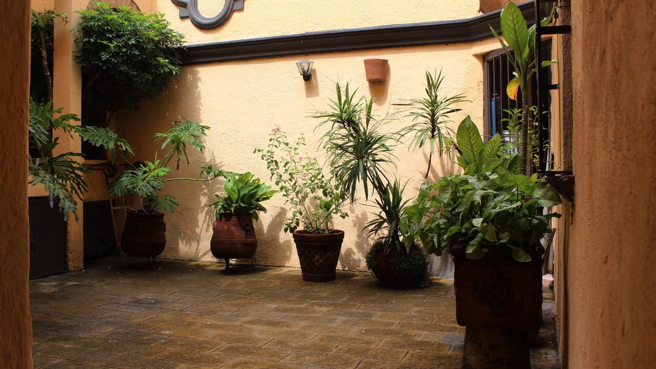 Photo of Outdoor in Zapopan