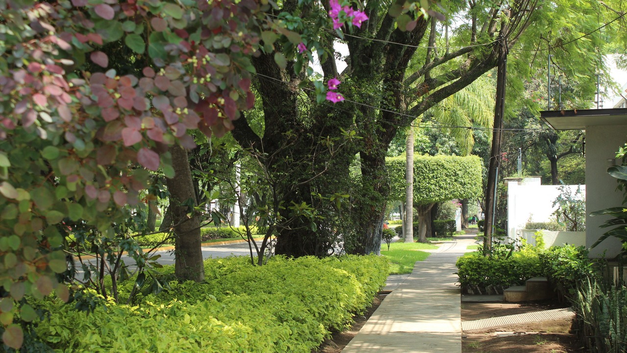 Photo of Outdoor in Zapopan