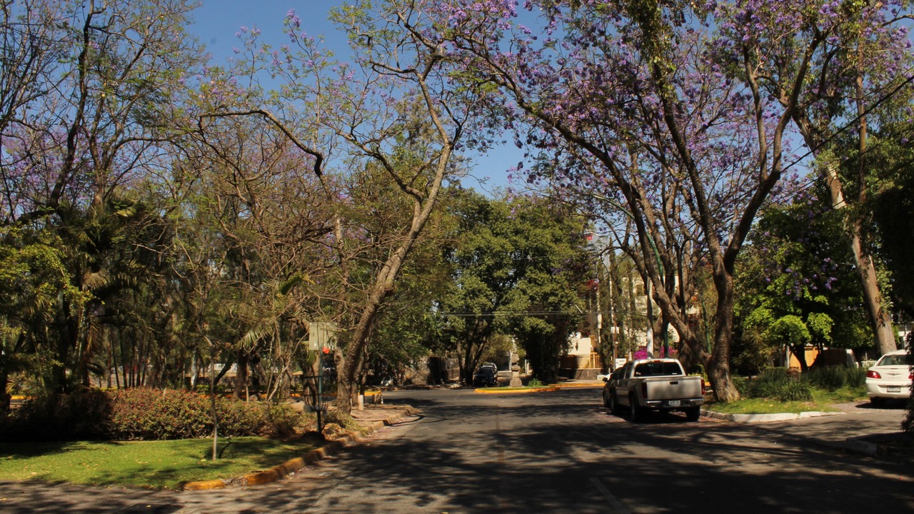 Photo of Outdoor in Zapopan