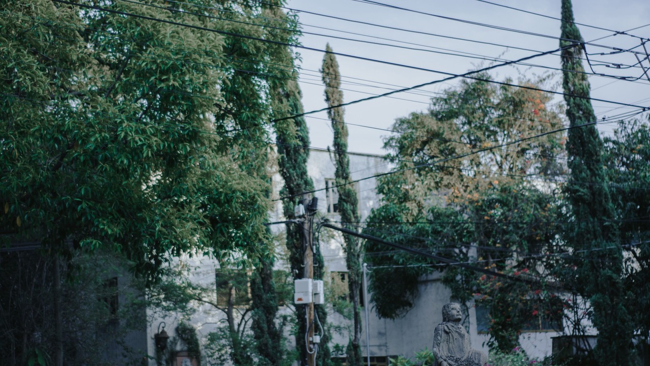 Photo of Outdoor in Zapopan