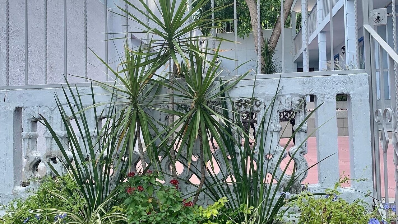 Photo of Outdoor in Tampico