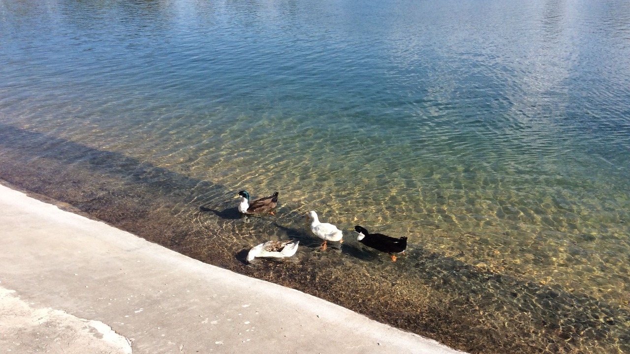 Photo of Others in San Juan del Rio