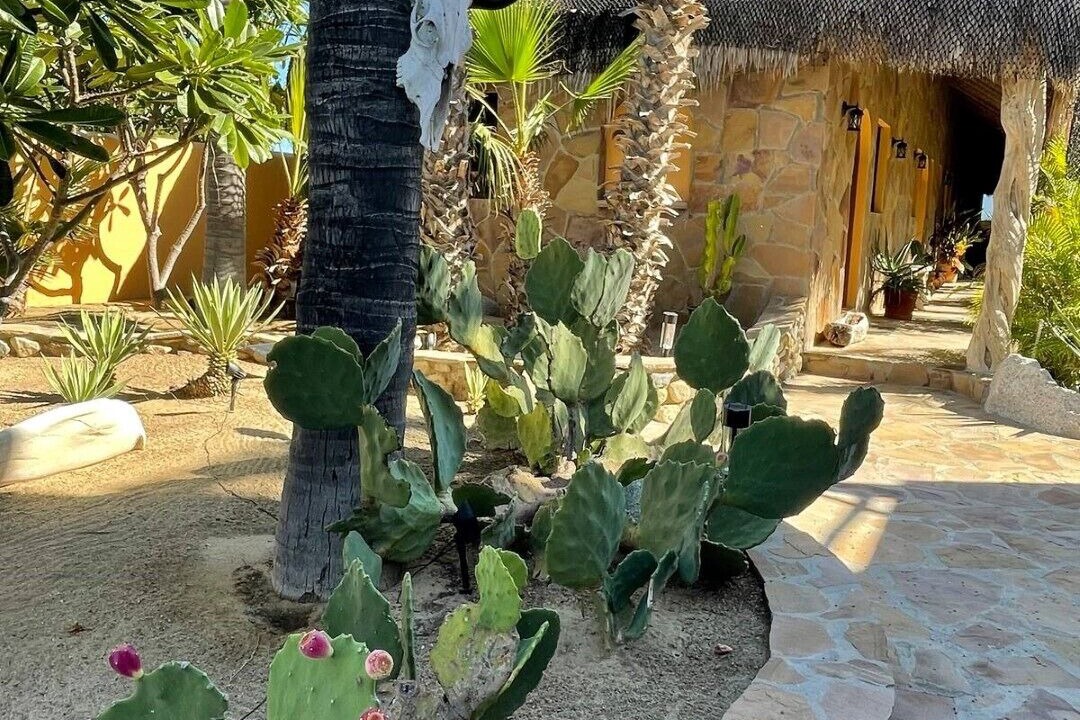 Photo of Outdoor in Buenavista