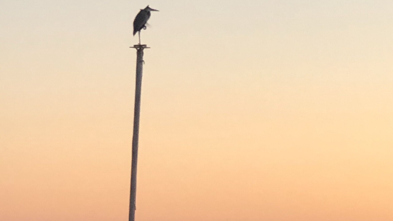 Photo of Others in San Felipe