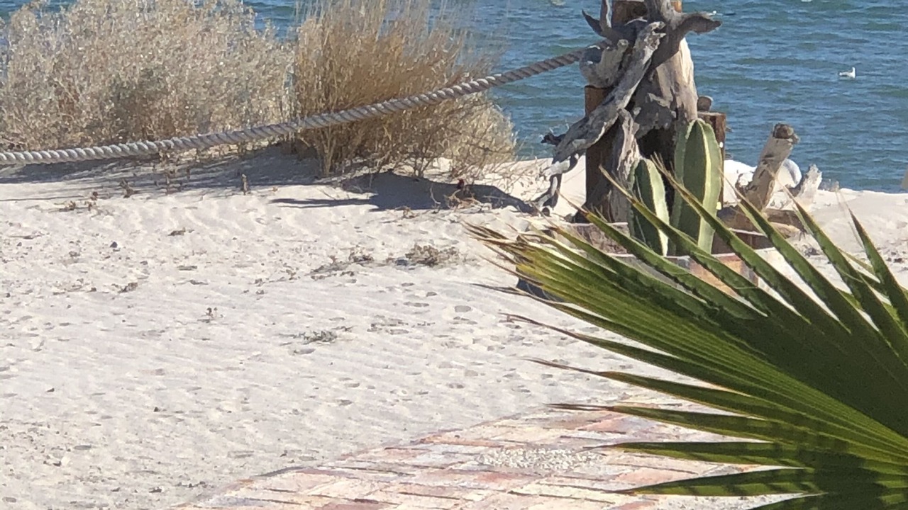 Photo of Others in San Felipe