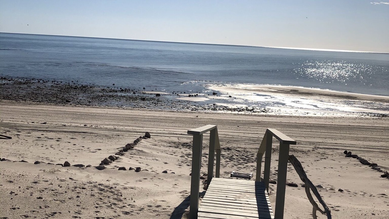 Photo of Others in San Felipe