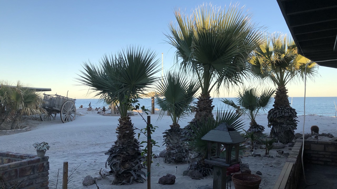 Photo of Others in San Felipe