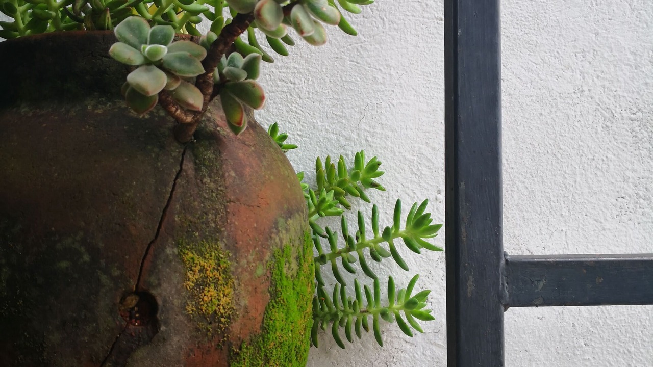 Photo of Outdoor in San Miguel