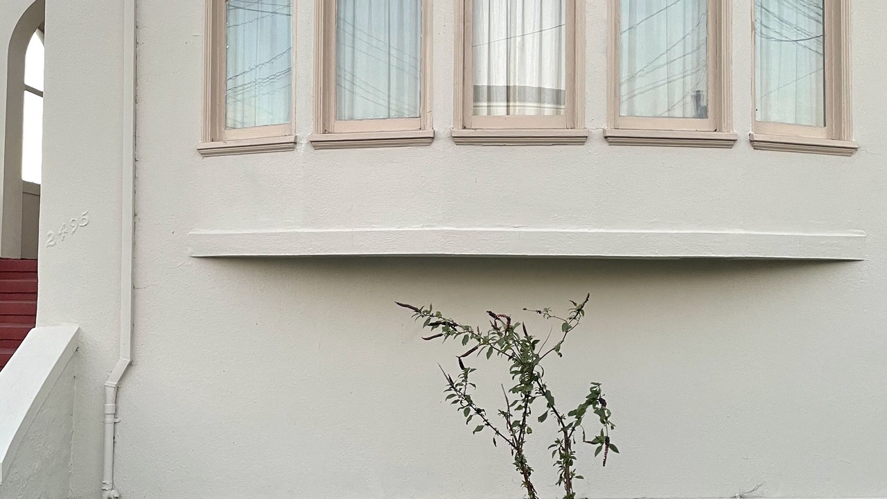 Photo of Outdoor in Parkside