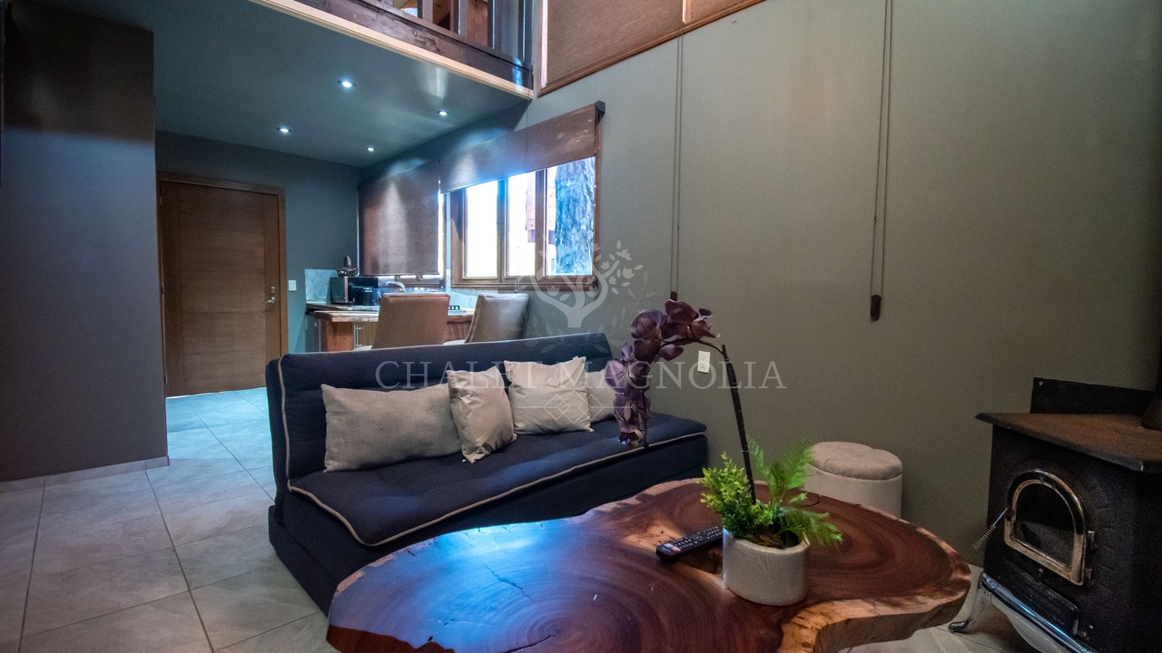 Photo of Livingroom in Mazamitla