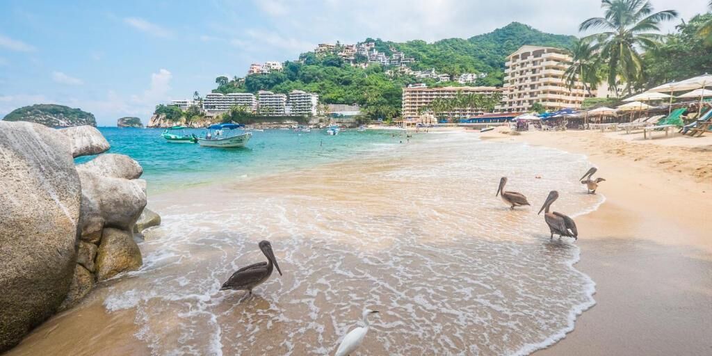 Photo of Others in Puerto Vallarta