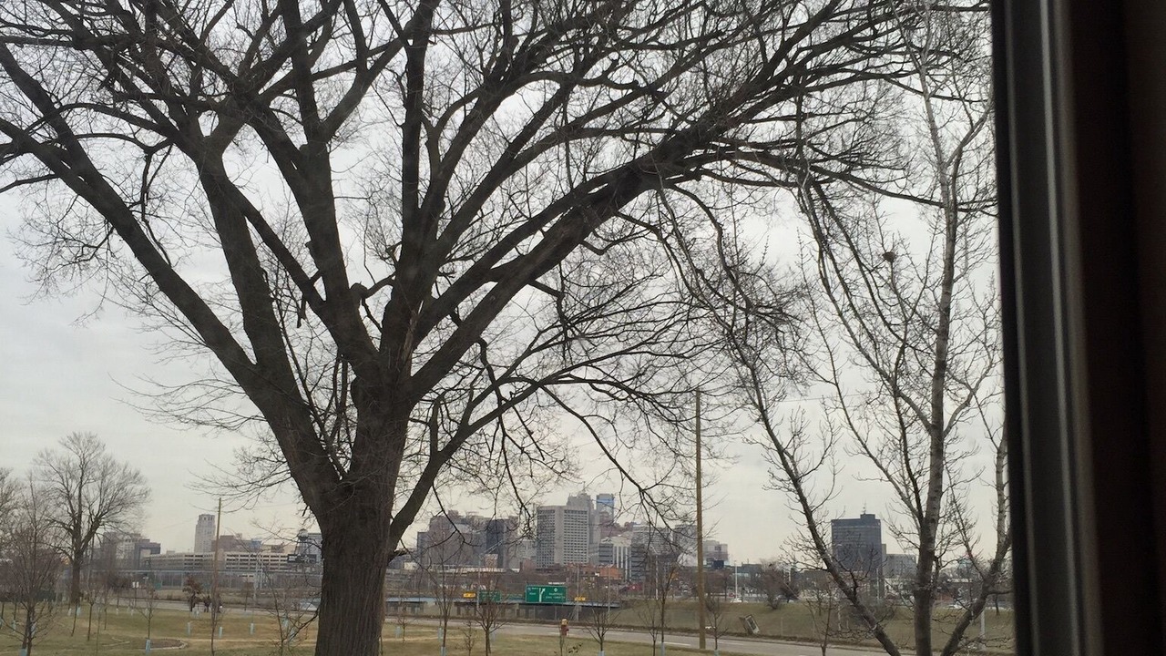 Photo of Others in Mexicantown - Southwest Detroit
