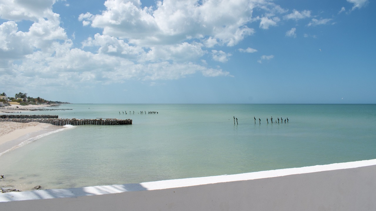 Photo of Others in Chuburna Puerto